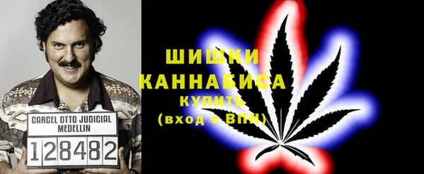 прущие крисы Арсеньев