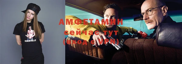 гидра Аркадак