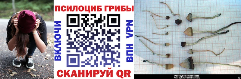 это Telegram  Ясногорск  Галлюциногенные грибы мухоморы 